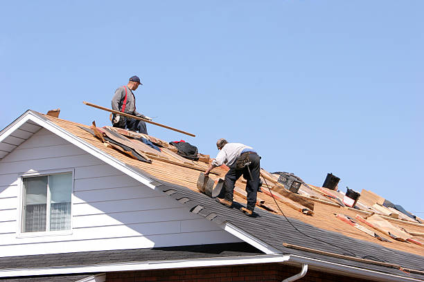 Best Roof Insulation Installation  in Farngton Hills, MI
