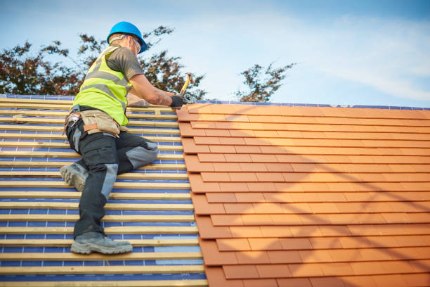 Best Roof Moss and Algae Removal  in Farngton Hills, MI
